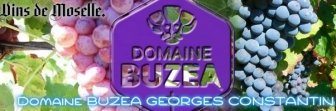 DOMAINE-BUZEA