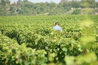 Domaine de la Monette - Vin de Mercurey