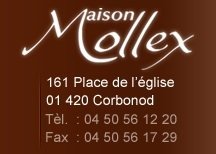 Maison Mollex